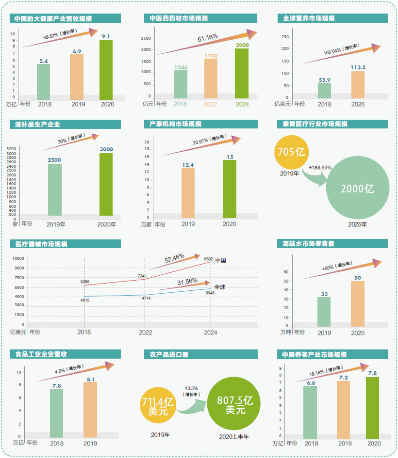 大健康分類市場發展和前景