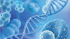 廣州國際細(xì)胞與健康產(chǎn)業(yè)大會(huì)